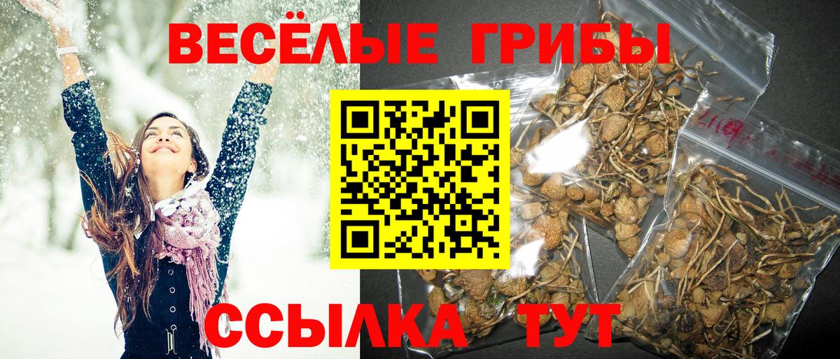 Псилоцибиновые грибы Magic Shrooms  Вход с VPN  Чехов 